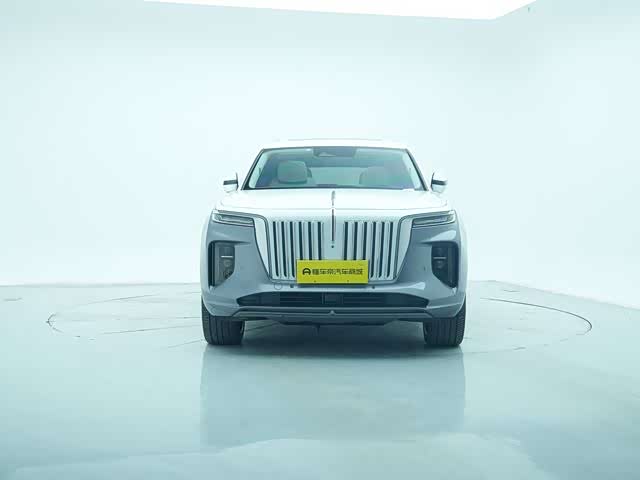 HongQi E-HS9 2023 car image #3