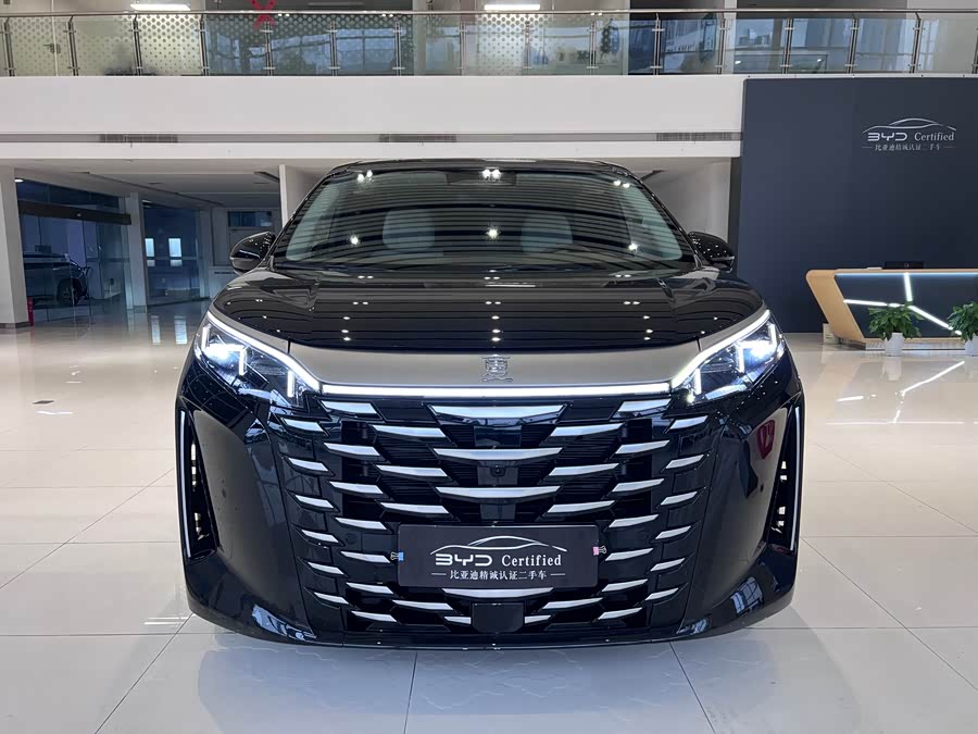 BYD Xia 2024 imagen de coche #3