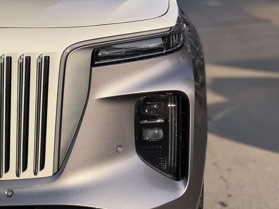 HongQi E-HS9 2022 imagen de coche #3