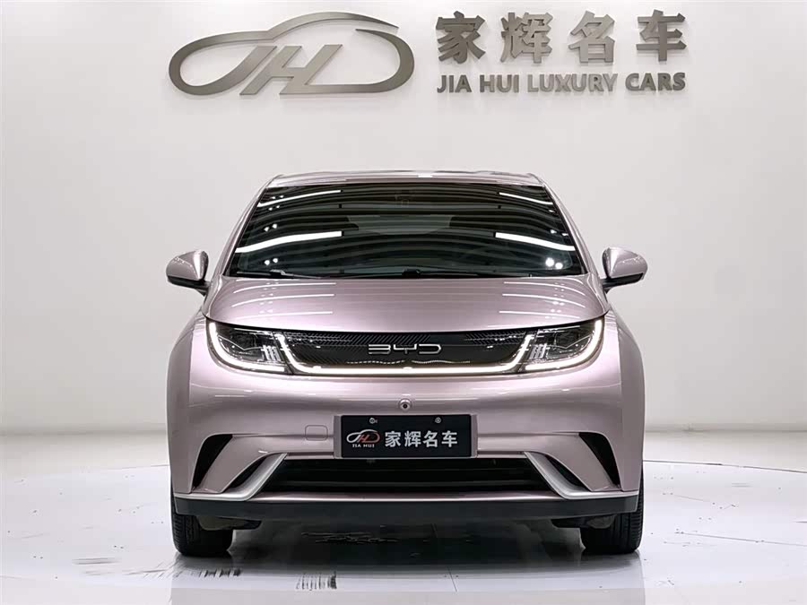BYD Dolphin 2024 imagem de carro #3