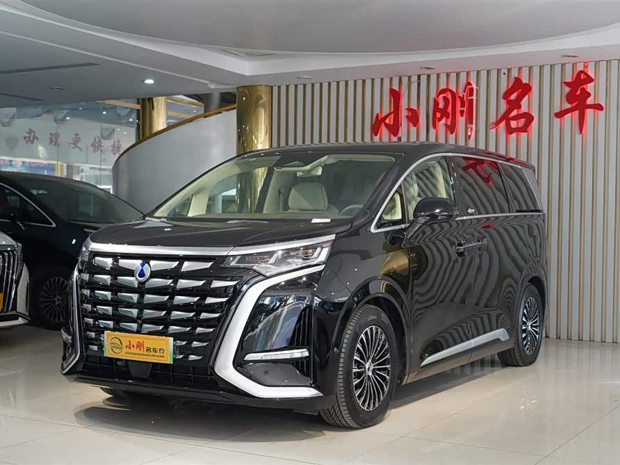 Denza D9 2024 imagem de carro #3