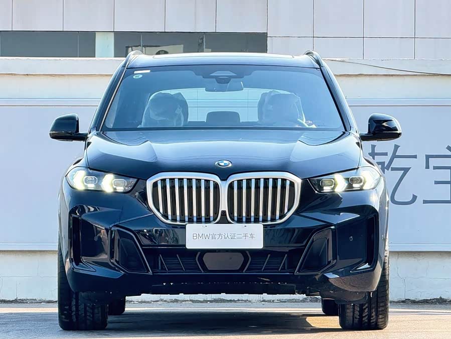 BMW X5 imagen de coche #3