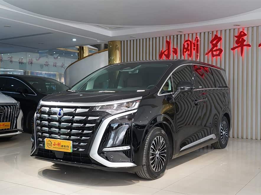 Denza D9 2025 imagen de coche #3