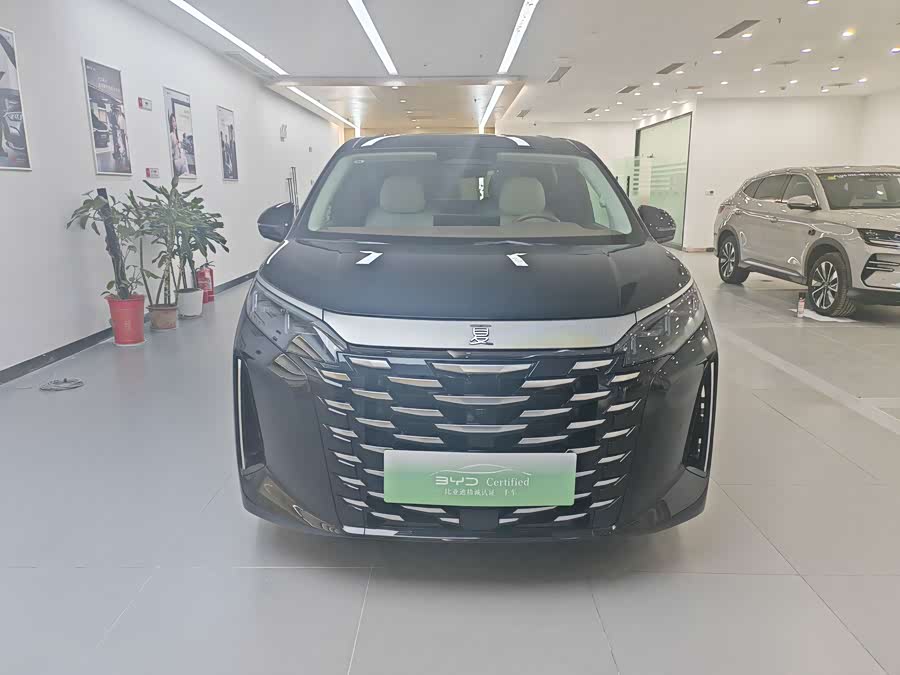 BYD Xia 2024 imagen de coche #3