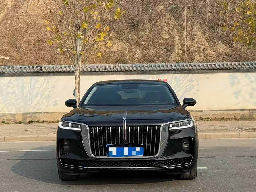 HongQi H9 2021 car image #3