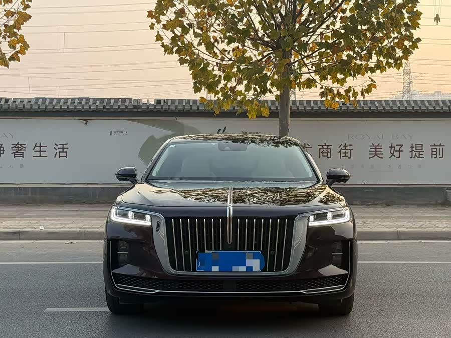 HongQi H9 2021 car image #3