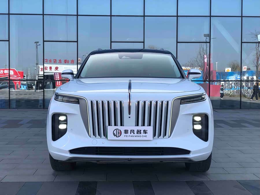 HongQi E-HS9 2021 car image #3
