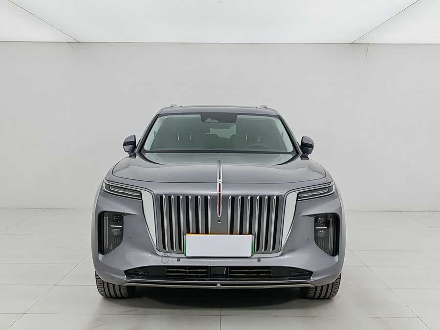 HongQi E-HS9 2023 car image #3