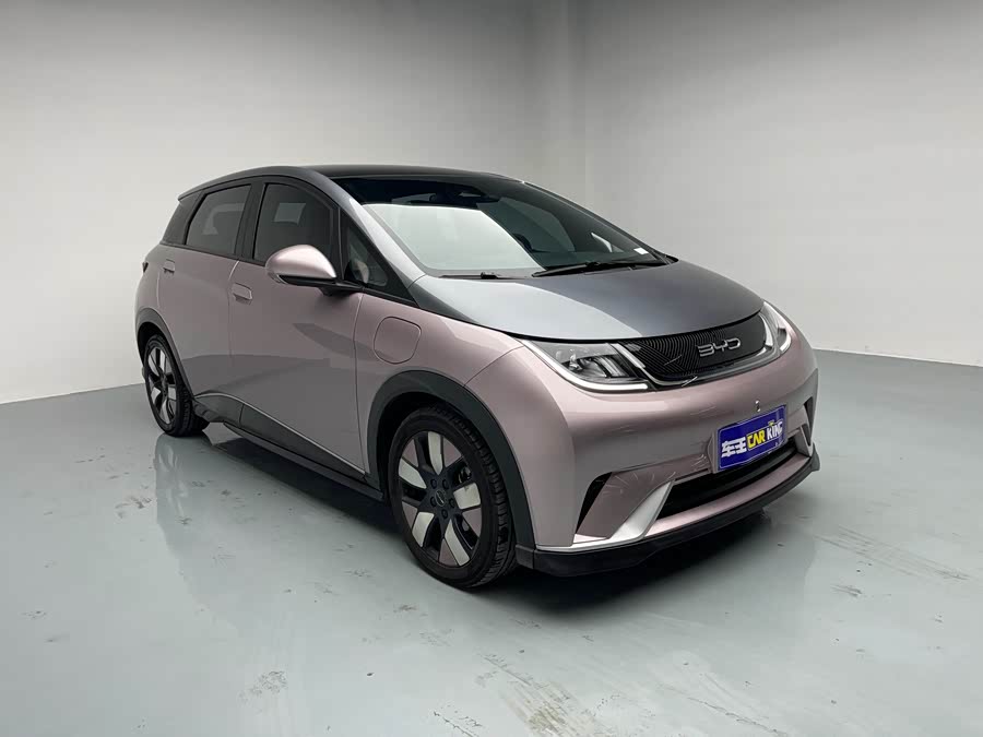 BYD Dolphin 2022 صورة سيارة #3