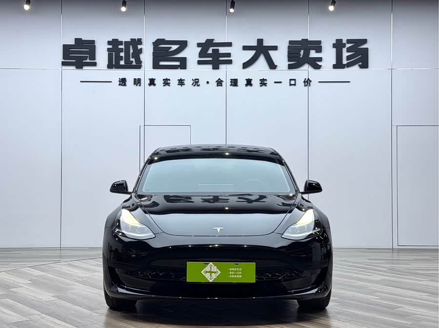 Tesla Model 3 2023 immagine di auto #3