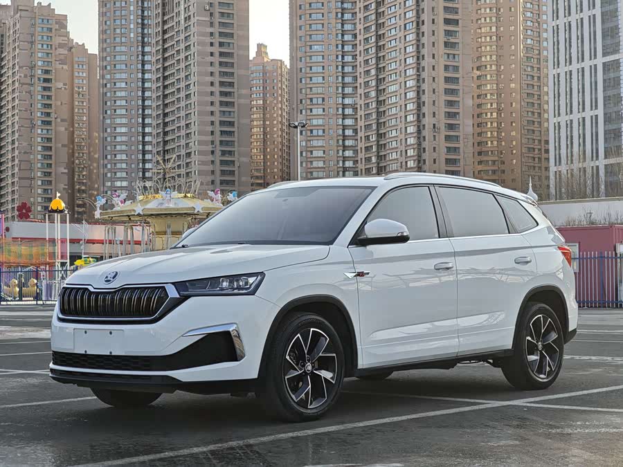 Skoda Kamiq 2021 car image #3