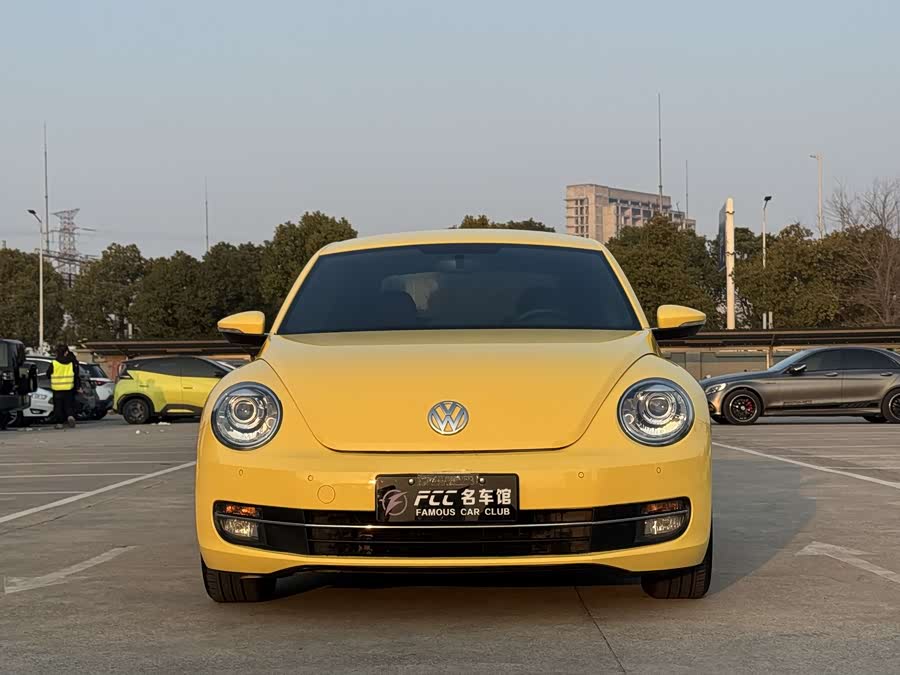 Volkswagen Beetle 2013 immagine di auto #3