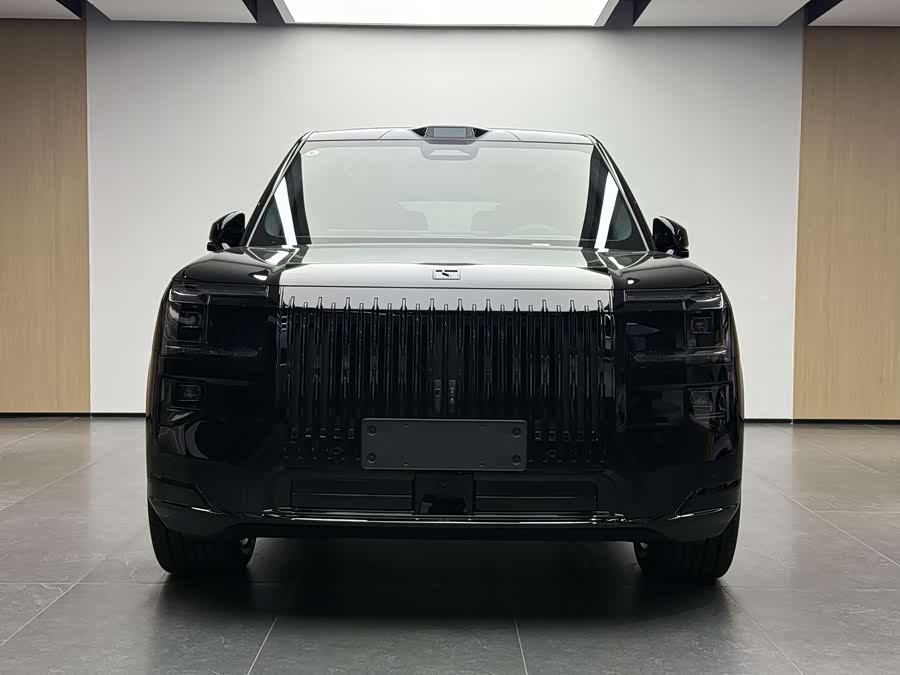 极氪 极氪9X 汽车图片 #3