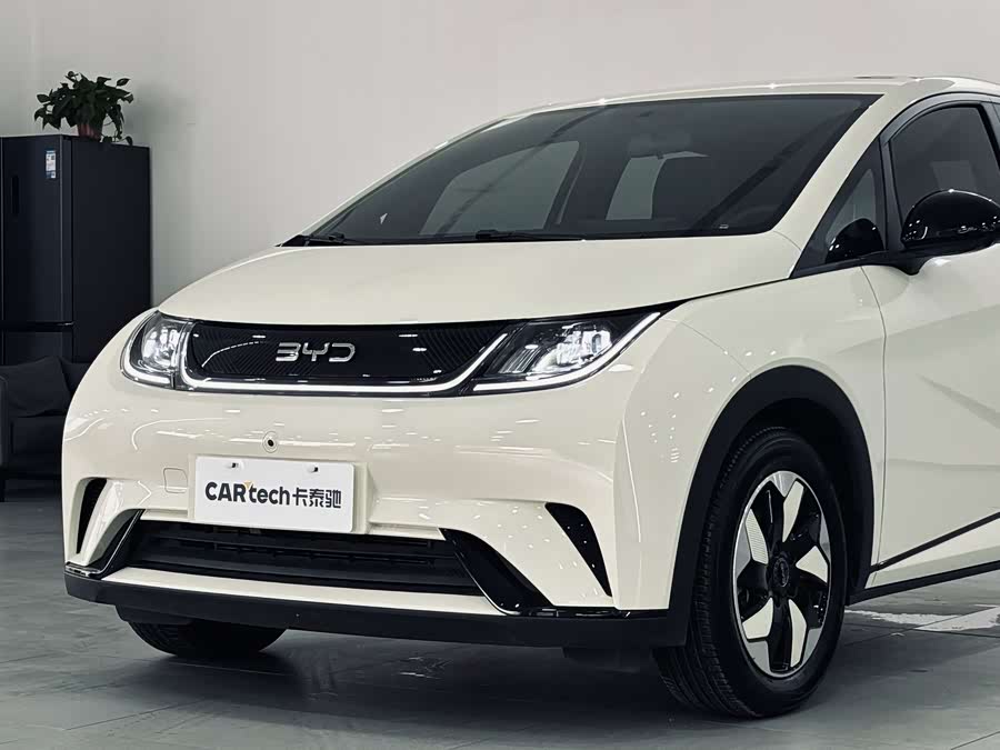 BYD Dolphin 2024 imagem de carro #3