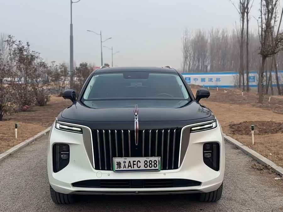 HongQi E-HS9 2021 immagine di auto #3