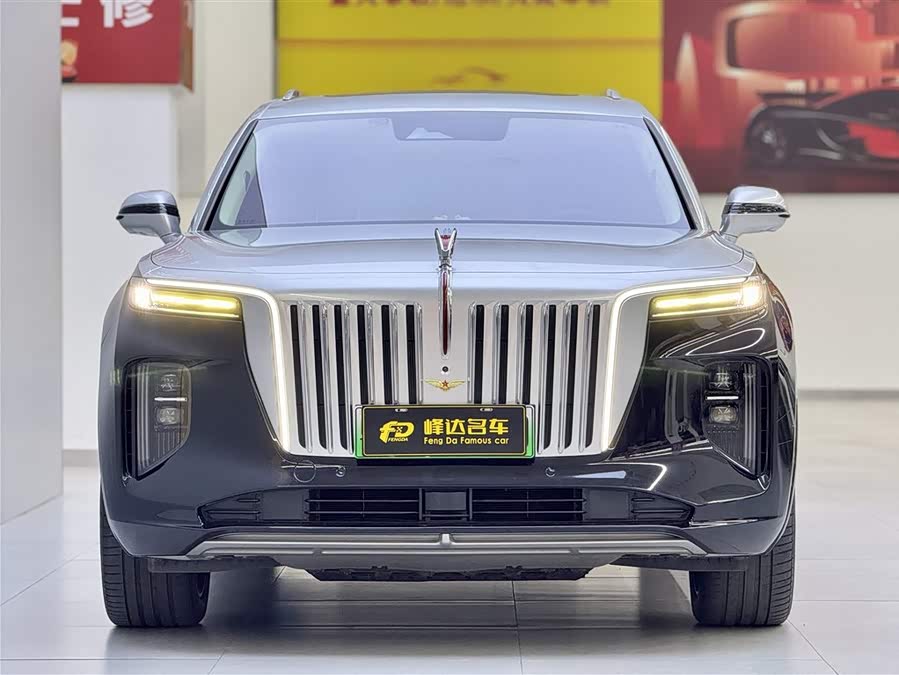 HongQi E-HS9 2021 image de voiture #3