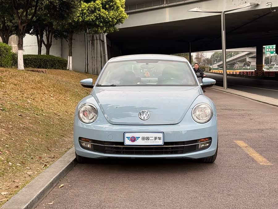 Volkswagen Beetle 2014 immagine di auto #3