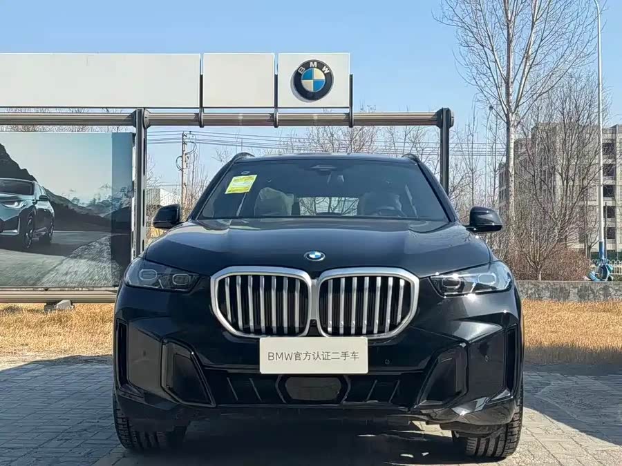 BMW X5 imagen de coche #3