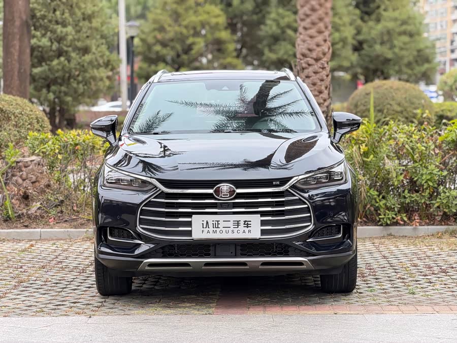 BYD Tang 2018 immagine di auto #3