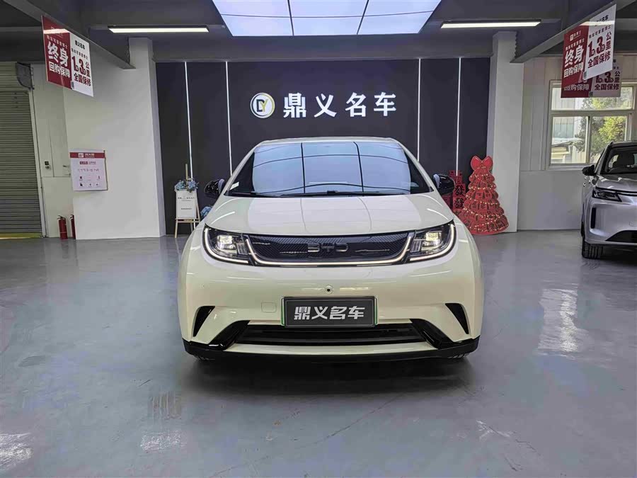 BYD Dolphin 2024 صورة سيارة #3