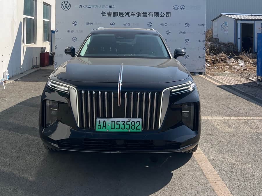 HongQi E-HS9 2023 image de voiture #3