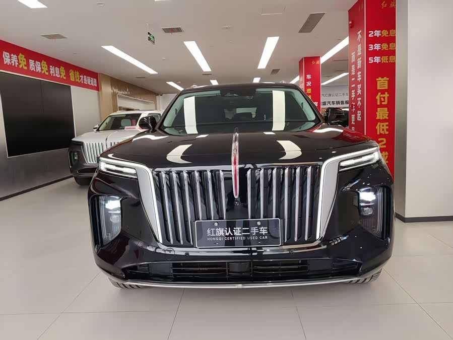 HongQi E-HS9 2023 صورة سيارة #3