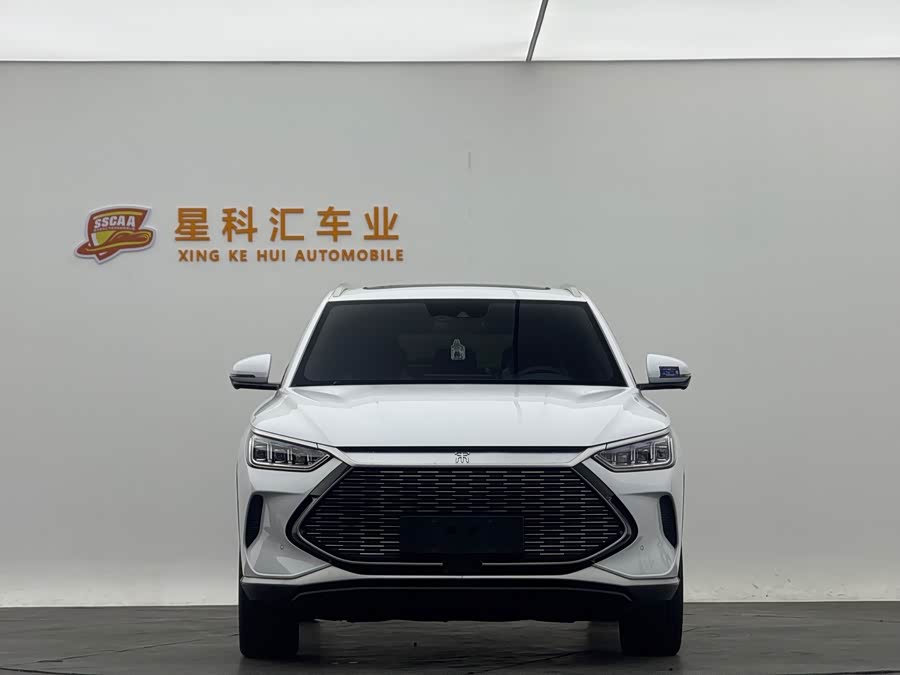 BYD Song Plus New Energy 2022 immagine di auto #3