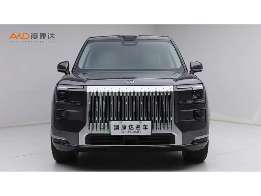 极氪 极氪9X 2025 汽车图片 #3