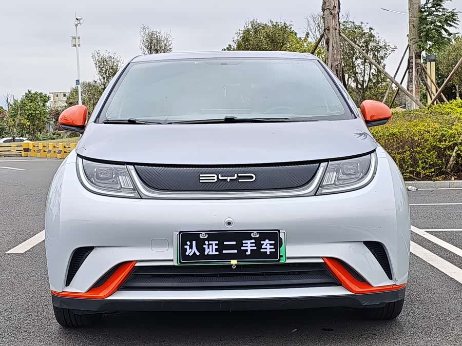 BYD Dolphin 2021 imagen de coche #3