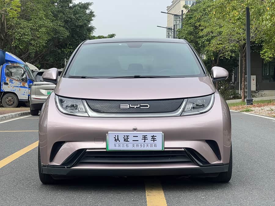 BYD Dolphin 2022 imagem de carro #3
