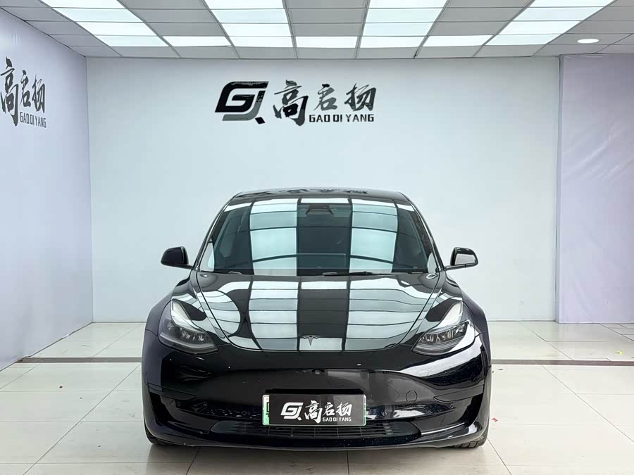 Tesla Model 3 2022 immagine di auto #3