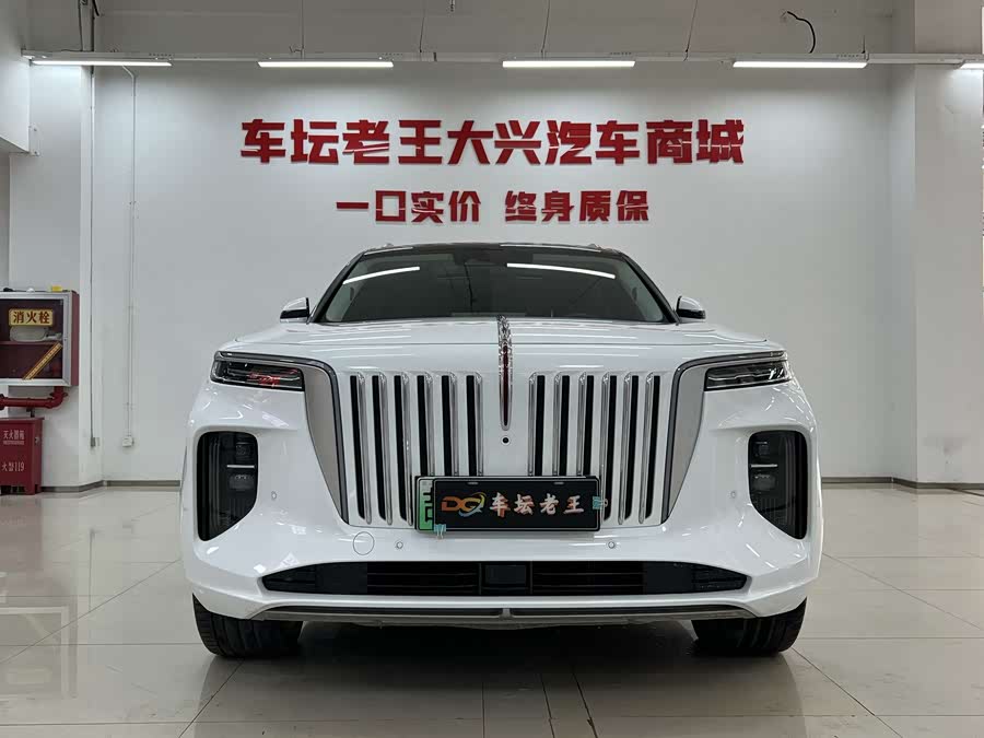 HongQi E-HS9 2023 immagine di auto #3