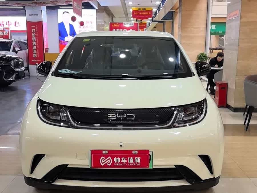 BYD Dolphin 2026 صورة سيارة #3