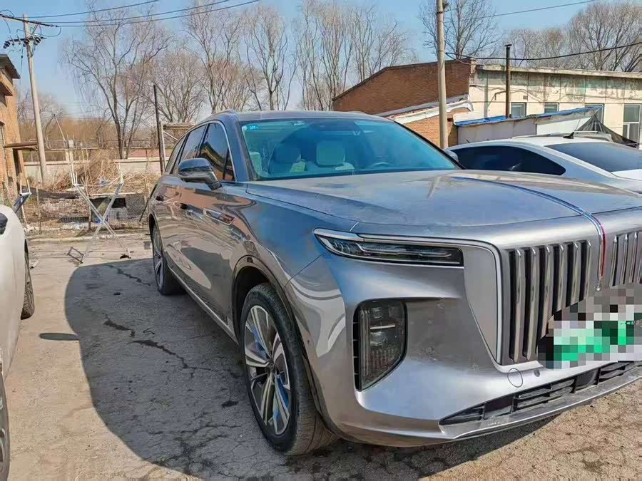 HongQi E-HS9 2021 imagem de carro #3