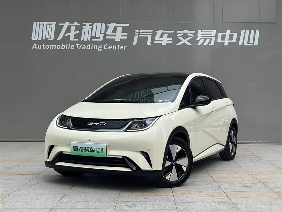 BYD Dolphin 2023 imagem de carro #3