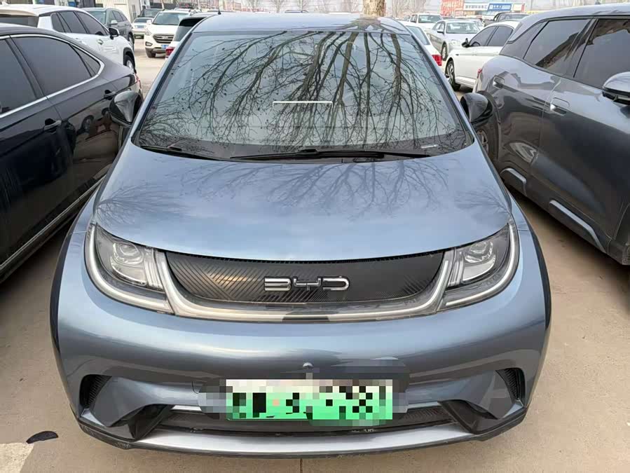 BYD Dolphin 2024 صورة سيارة #3