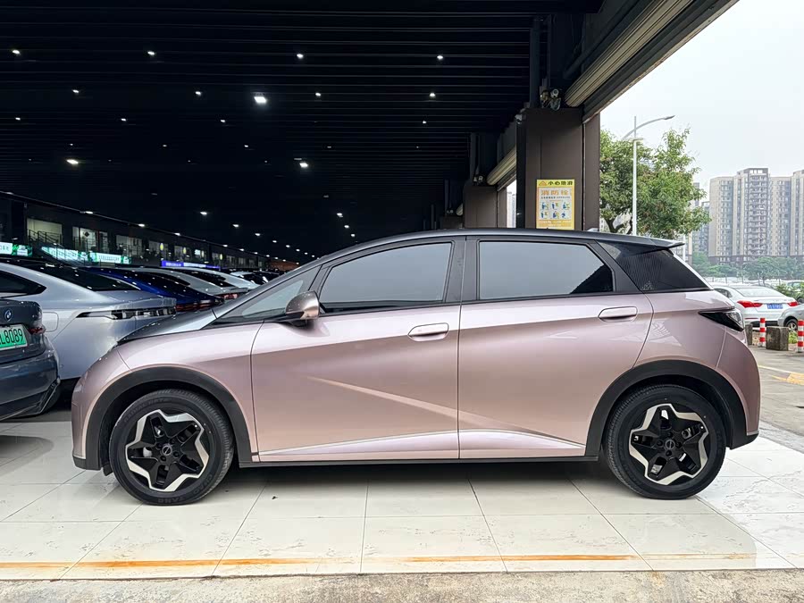 BYD Dolphin 2022 imagem de carro #3