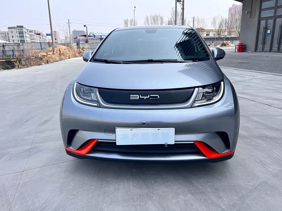 BYD Dolphin 2023 imagem de carro #3