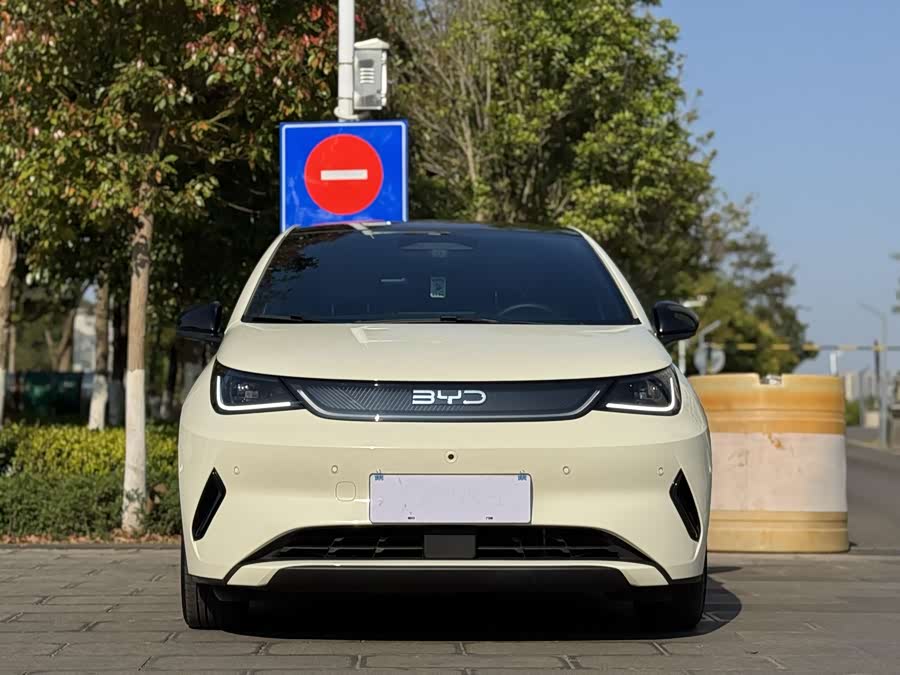 BYD Dolphin 2025 صورة سيارة #3