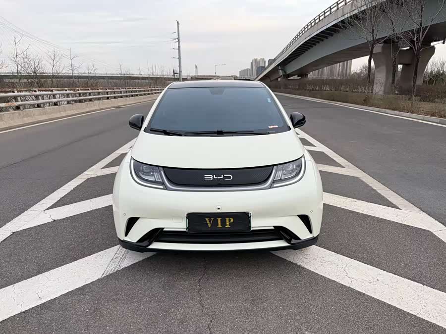 BYD Dolphin 2024 صورة سيارة #3