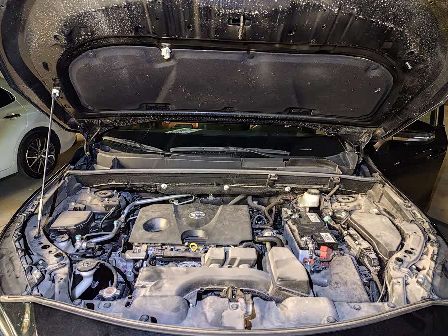 Toyota Venza 2022 car image #3