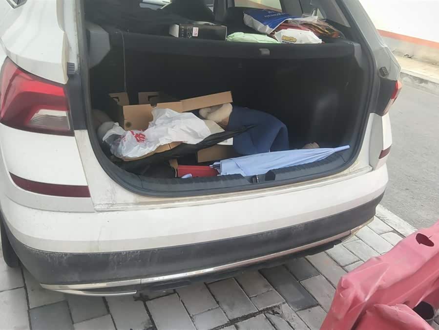 Skoda Kamiq 2019 imagen de coche #3