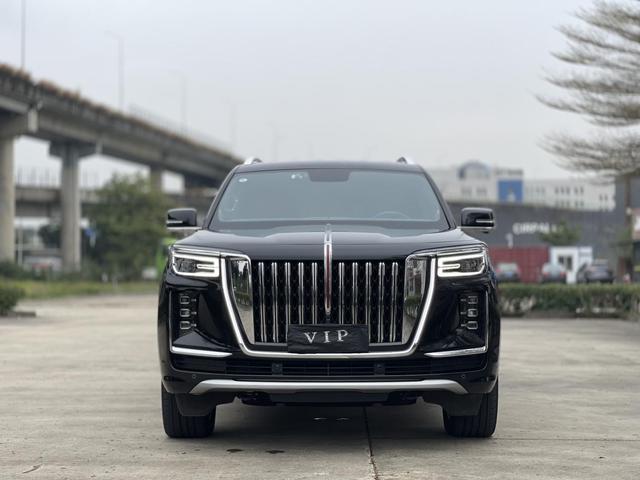 HongQi GuoYao 2023 car image #3