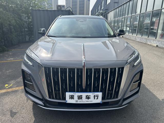 HongQi HS3 2023 immagine di auto #3