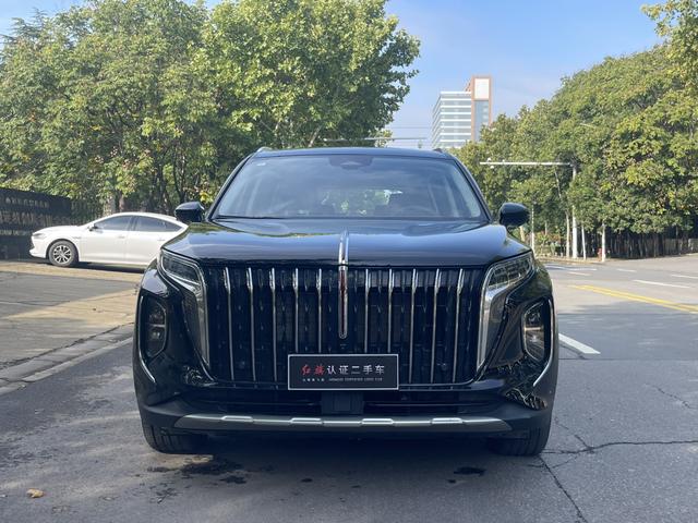 HongQi HS7 PHEV 2024 immagine di auto #3