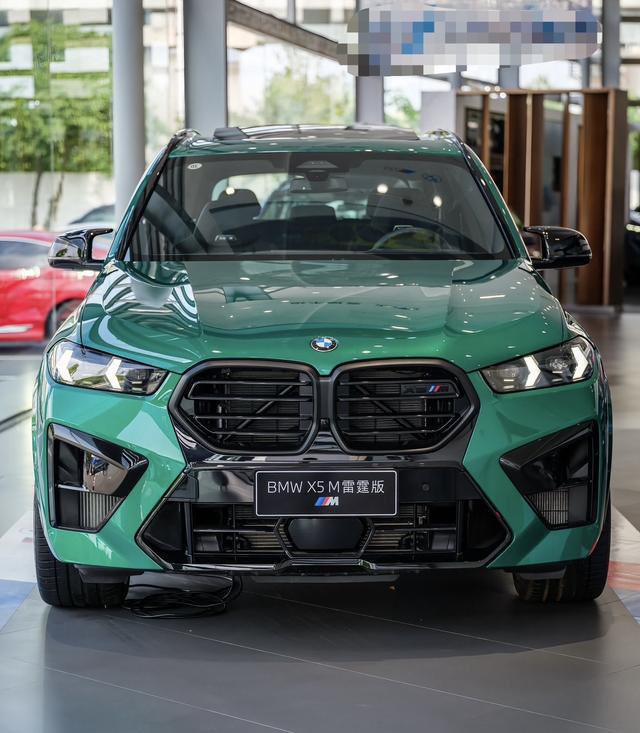 BMW X5 M car image #3