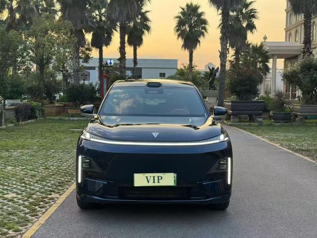 Deepal S09 2025 car image #3