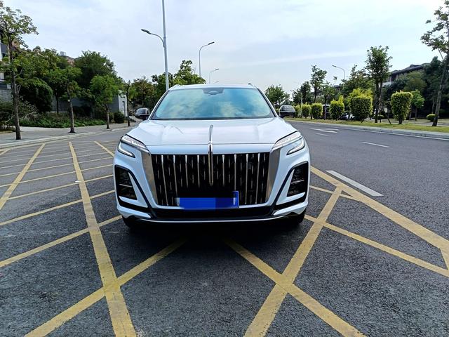 HongQi HS3 2023 immagine di auto #3