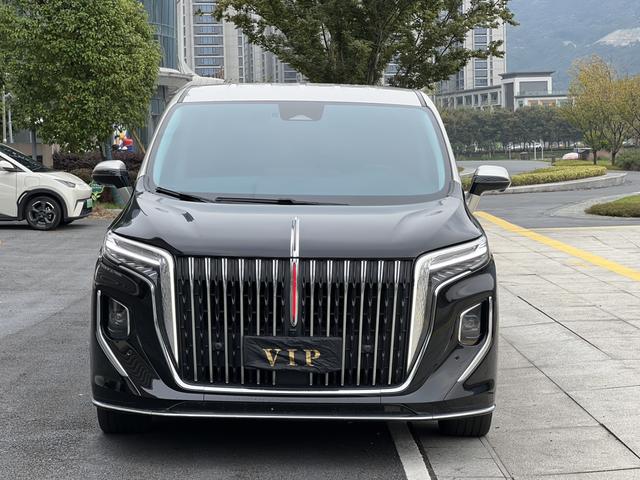 HongQi HQ9 2023 car image #3