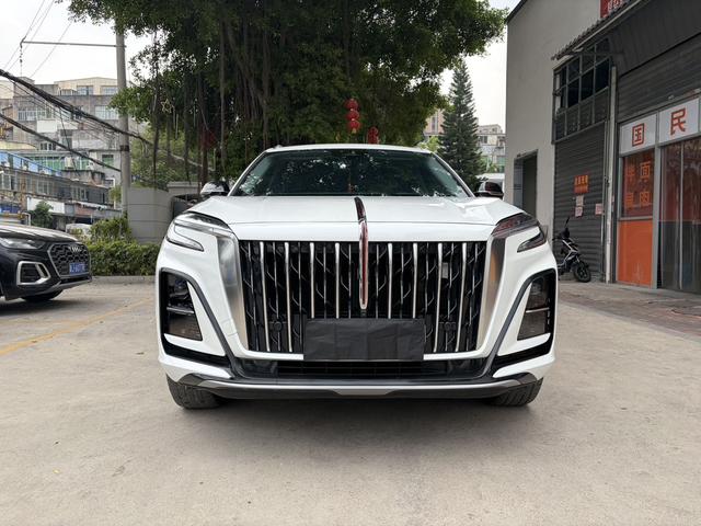 HongQi HS3 2023 immagine di auto #3